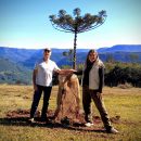 Curso Integrando Feng Shui e Geobiologia - SP 2025