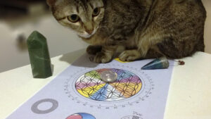 Cursos de Reprogramação Energética