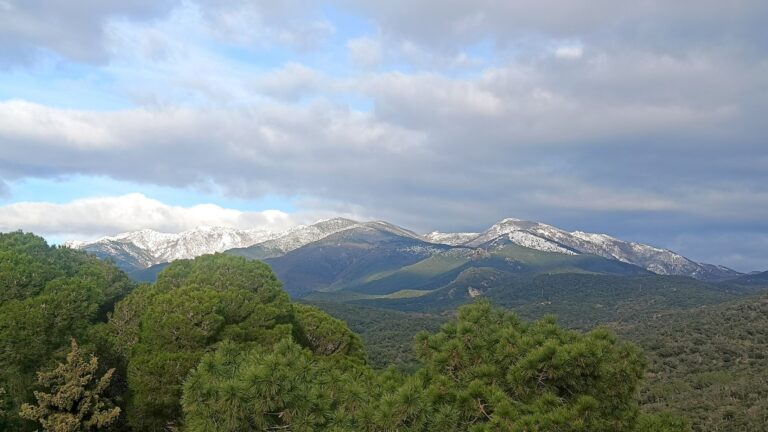 Forma: Formato + Configuração